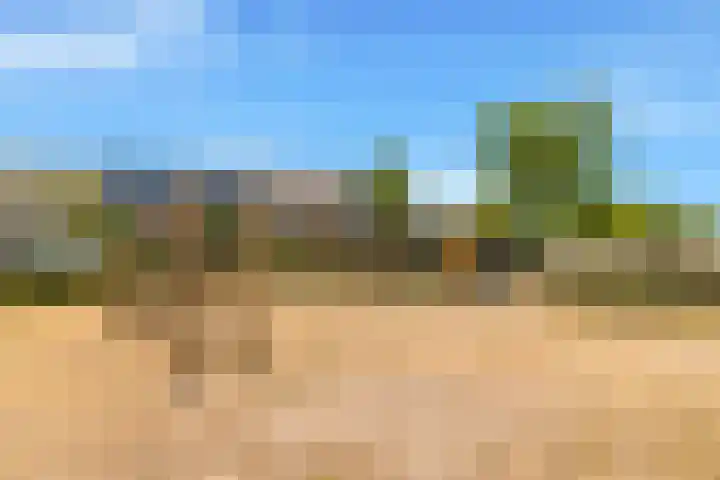 Ganzerik 39 Castricum thumbnail 52