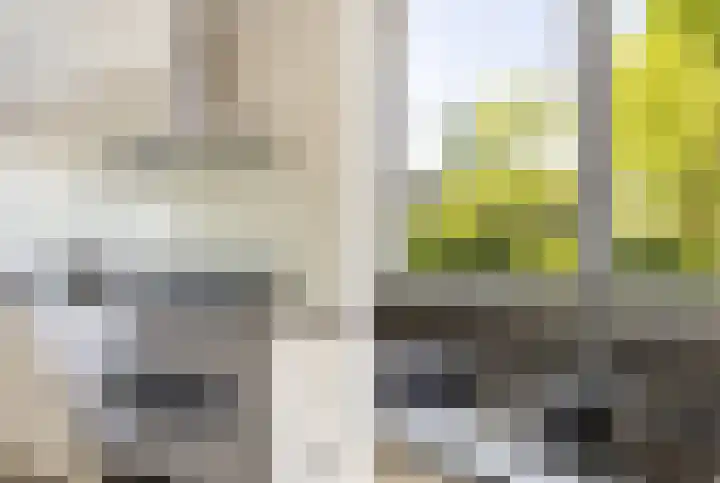 Ganzerik 39 Castricum thumbnail 9