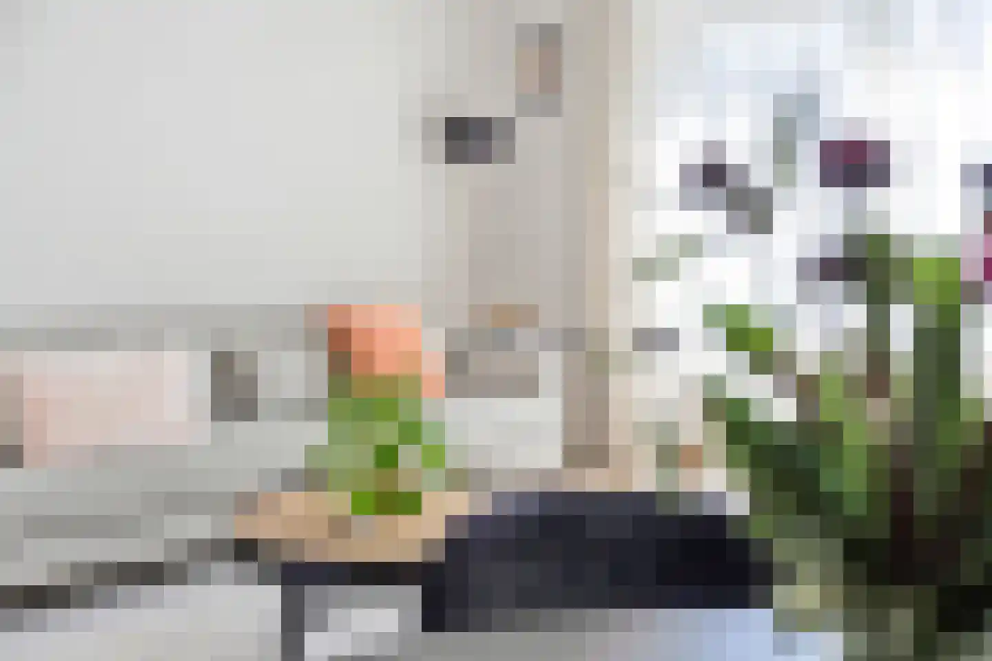 Ganzerik 39 Prinsenbeek thumbnail 11