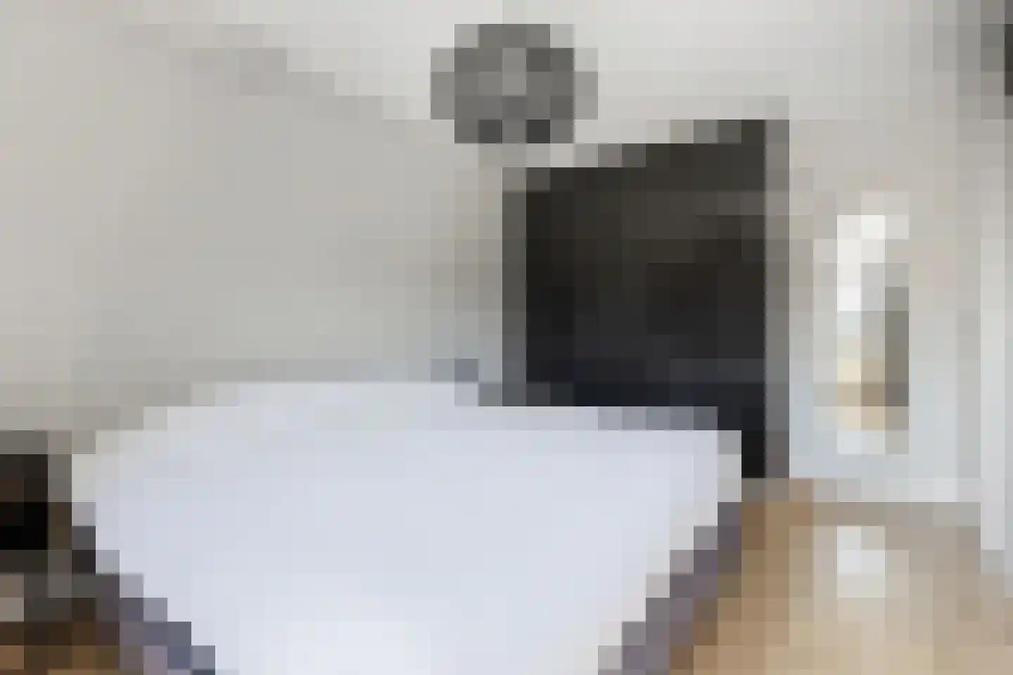 Ganzerik 39 Prinsenbeek thumbnail 21