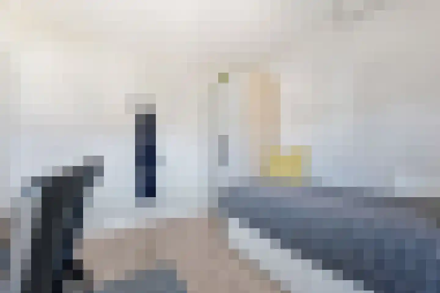 Ganzerik 39 Prinsenbeek thumbnail 24
