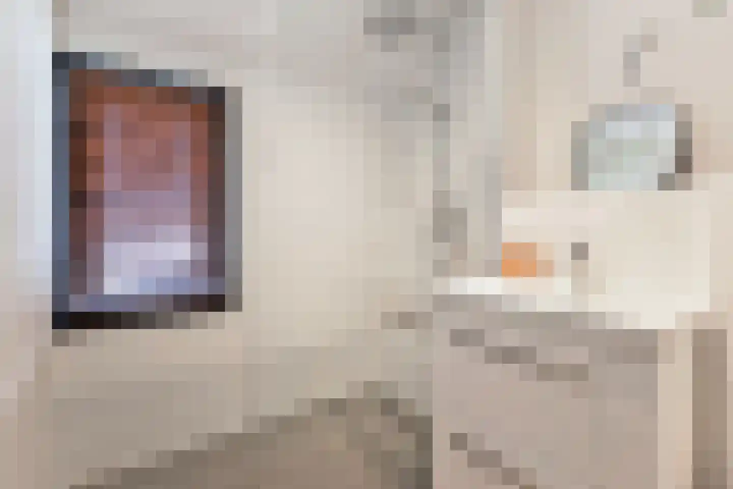 Ganzerik 39 Prinsenbeek thumbnail 28
