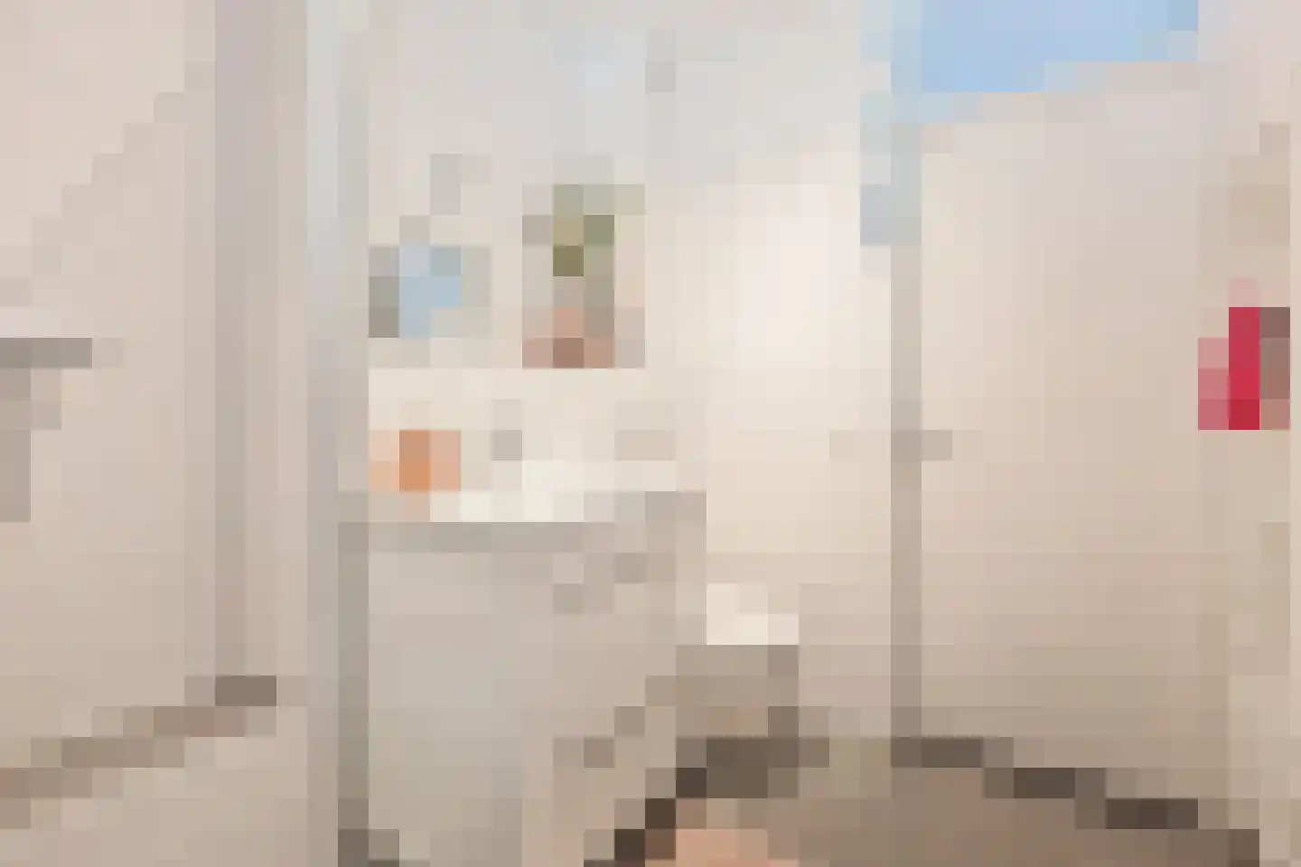 Ganzerik 39 Prinsenbeek thumbnail 29