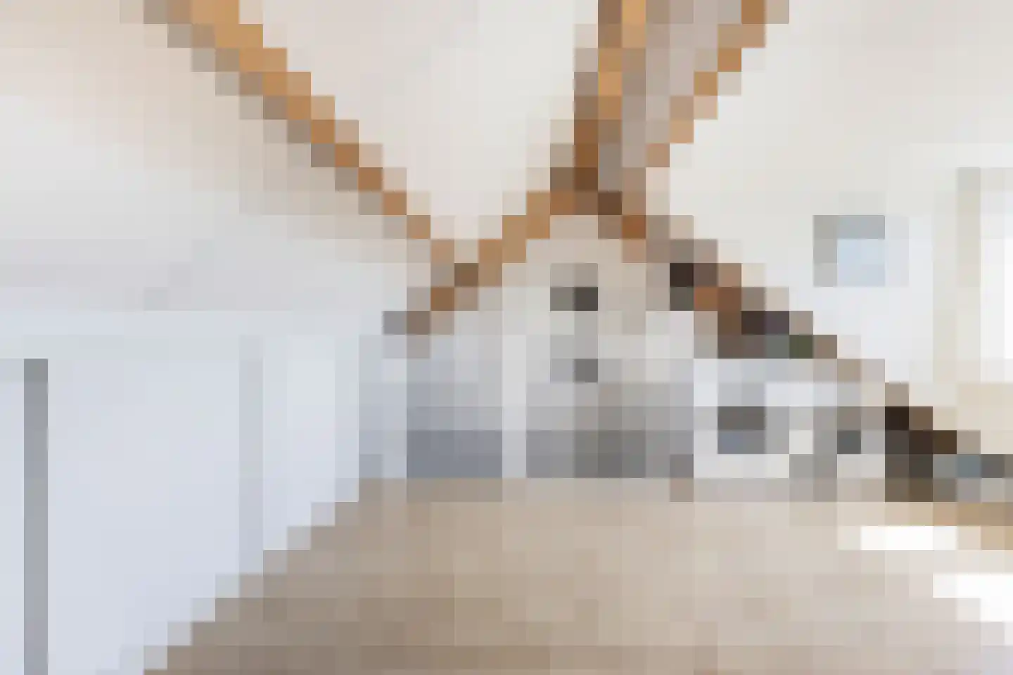Ganzerik 39 Prinsenbeek thumbnail 33