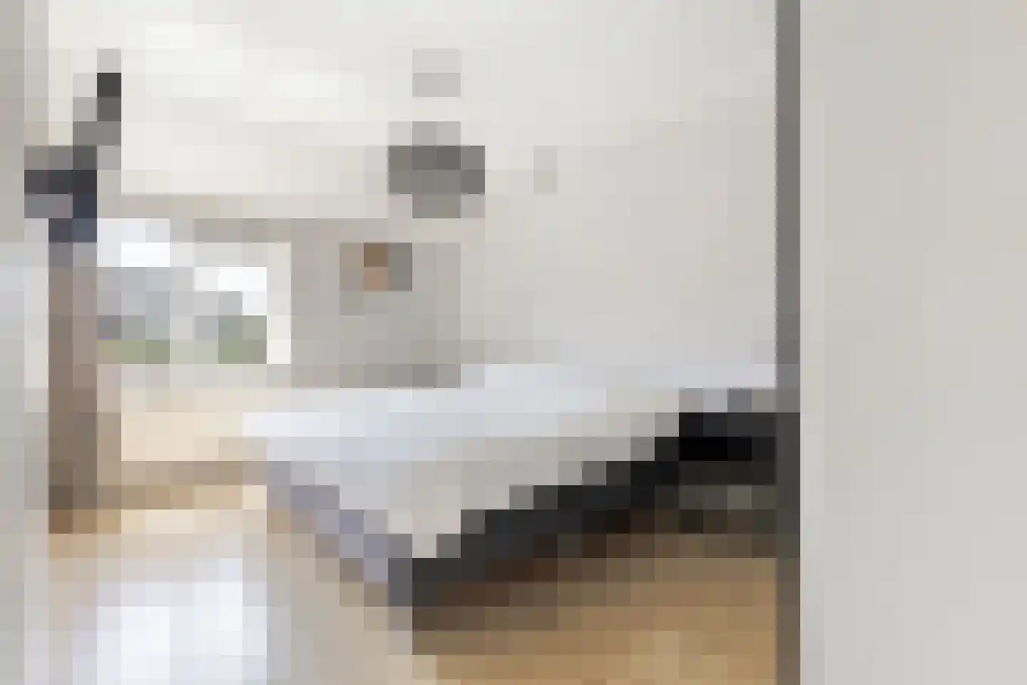 Ganzerik 39 Prinsenbeek thumbnail 4