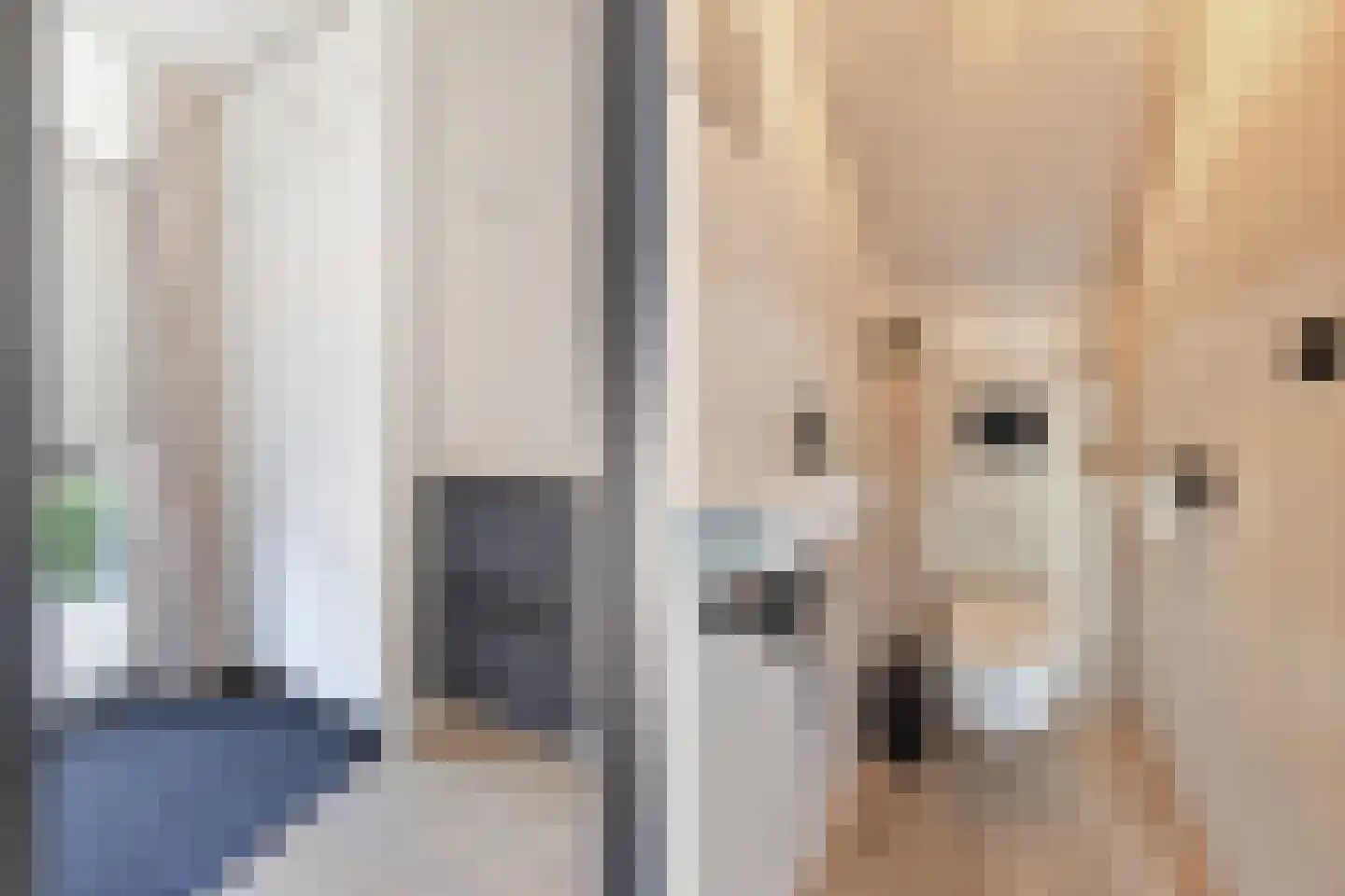 Ganzerik 39 Prinsenbeek thumbnail 6