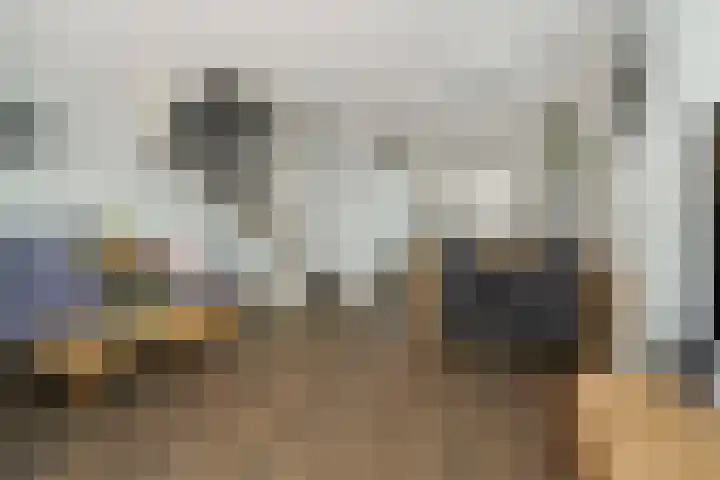 Ganzerik 42 Waddinxveen thumbnail 10