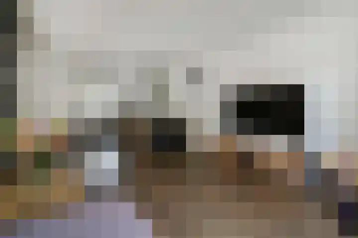 Ganzerik 42 Waddinxveen thumbnail 11