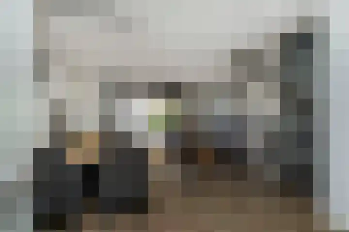 Ganzerik 42 Waddinxveen thumbnail 13