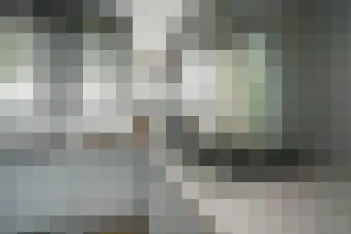 Ganzerik 42 Waddinxveen thumbnail 14