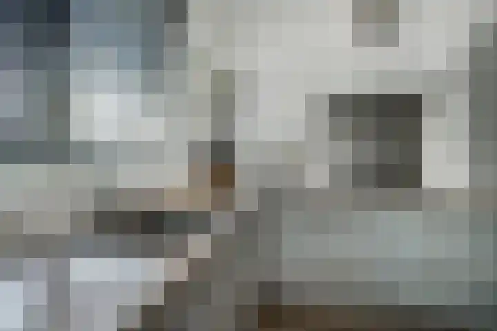 Ganzerik 42 Waddinxveen thumbnail 15