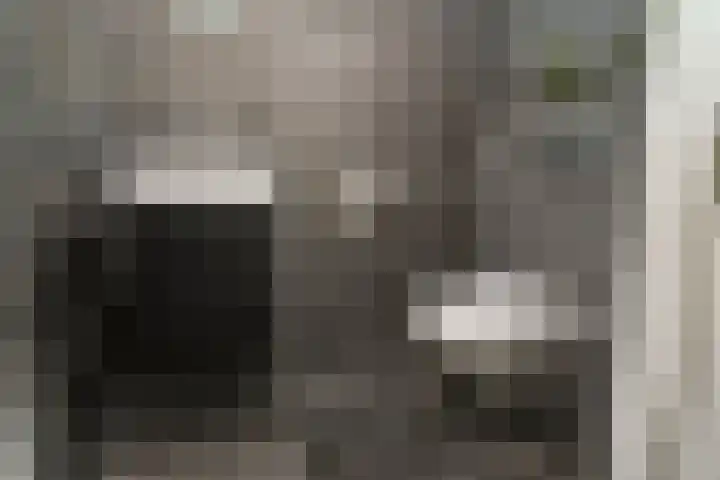 Ganzerik 42 Waddinxveen thumbnail 16