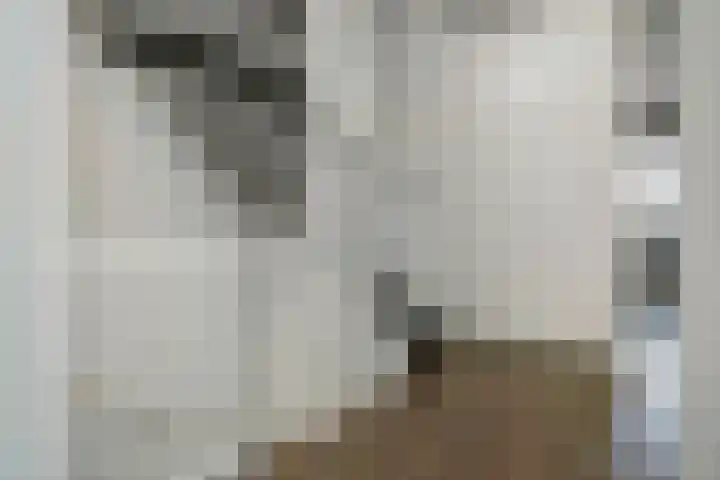 Ganzerik 42 Waddinxveen thumbnail 17