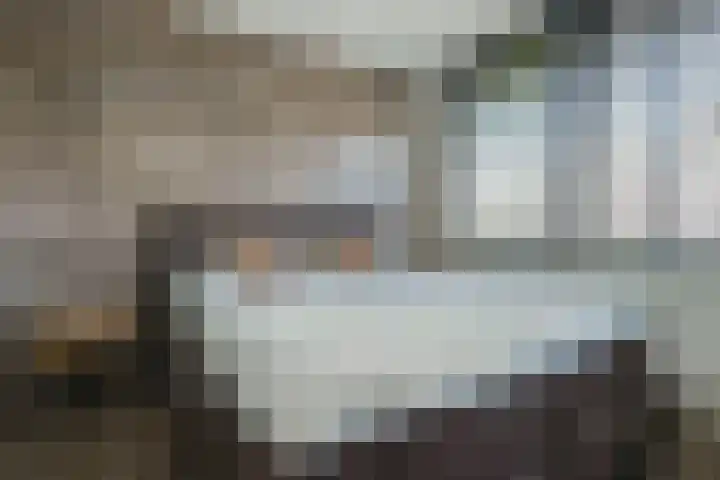 Ganzerik 42 Waddinxveen thumbnail 18