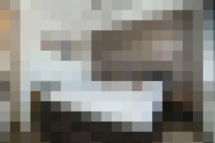 Ganzerik 42 Waddinxveen thumbnail 19
