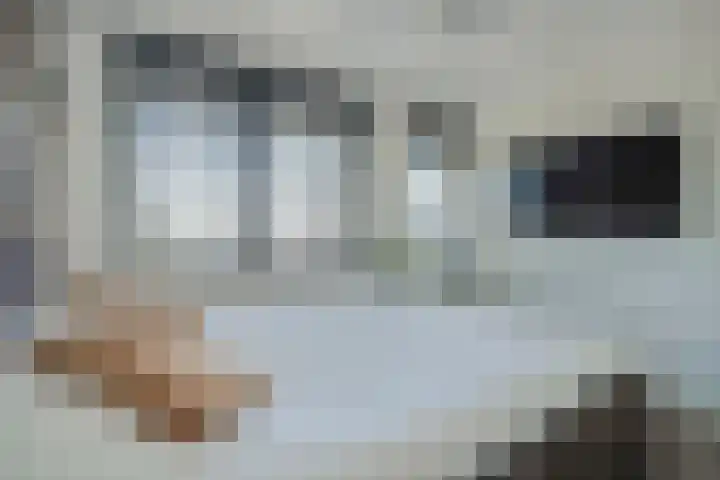Ganzerik 42 Waddinxveen thumbnail 21