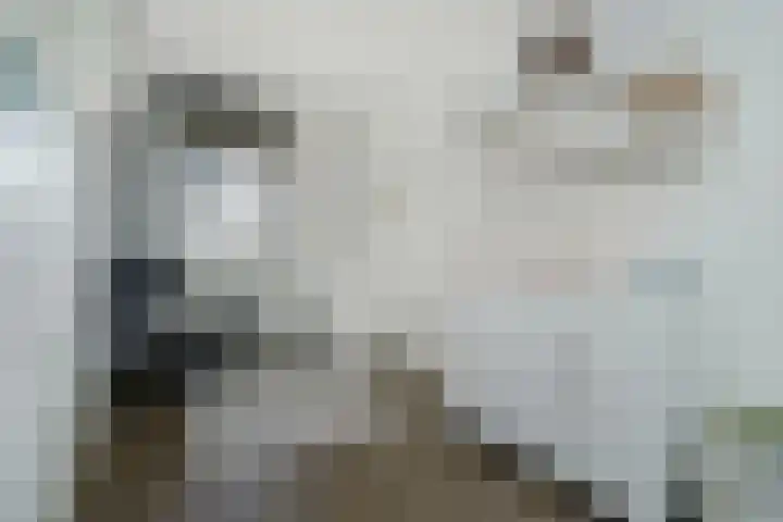 Ganzerik 42 Waddinxveen thumbnail 23