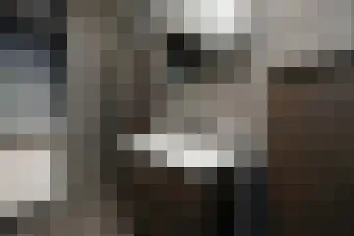 Ganzerik 42 Waddinxveen thumbnail 25