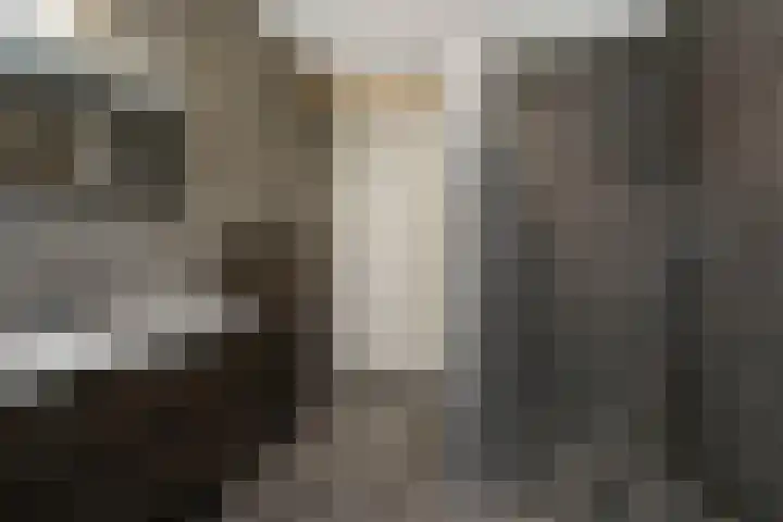 Ganzerik 42 Waddinxveen thumbnail 26
