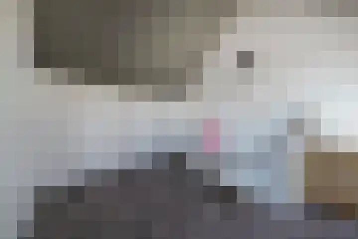 Ganzerik 42 Waddinxveen thumbnail 27