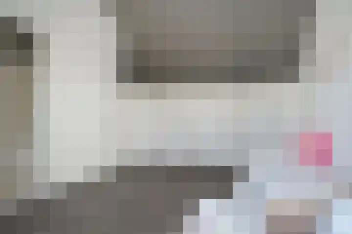 Ganzerik 42 Waddinxveen thumbnail 28