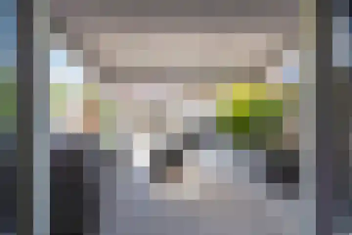 Ganzerik 42 Waddinxveen thumbnail 30