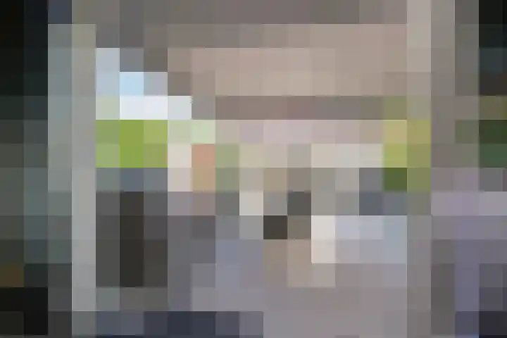 Ganzerik 42 Waddinxveen thumbnail 31