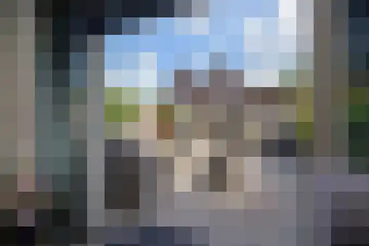 Ganzerik 42 Waddinxveen thumbnail 32