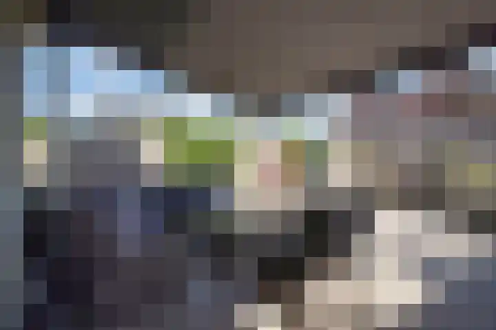 Ganzerik 42 Waddinxveen thumbnail 33
