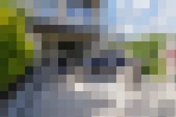 Ganzerik 42 Waddinxveen thumbnail 34