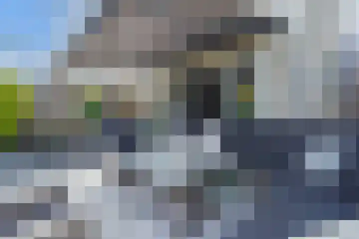 Ganzerik 42 Waddinxveen thumbnail 37