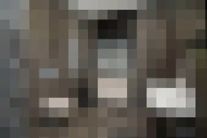 Ganzerik 42 Waddinxveen thumbnail 4