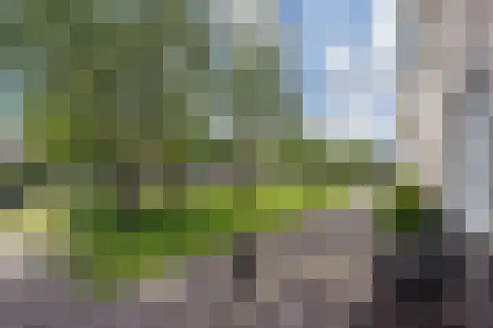Ganzerik 42 Waddinxveen thumbnail 5