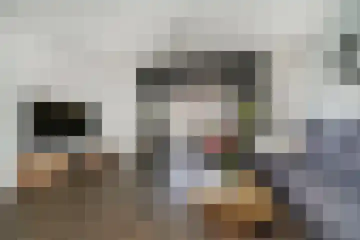 Ganzerik 42 Waddinxveen thumbnail 6