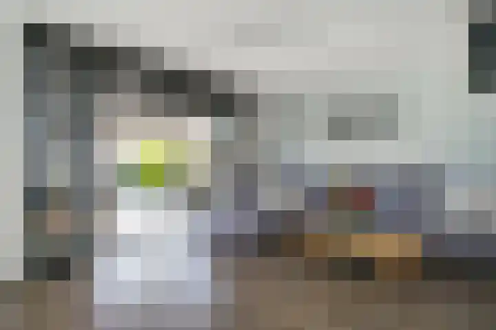 Ganzerik 42 Waddinxveen thumbnail 7