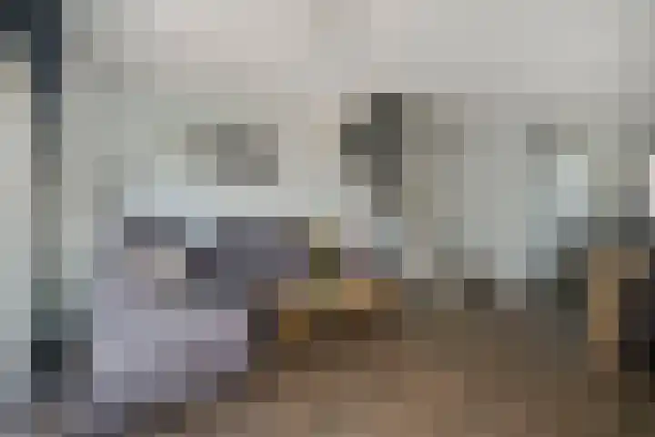 Ganzerik 42 Waddinxveen thumbnail 9