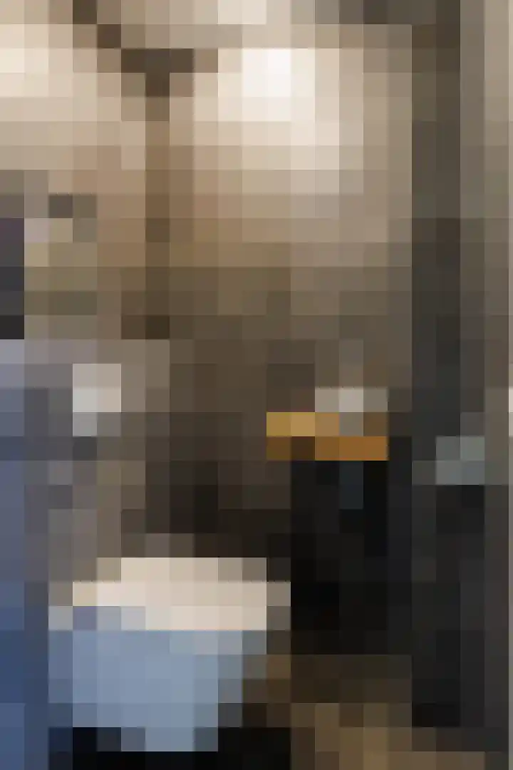 Ganzerik 47 Bennekom thumbnail 12