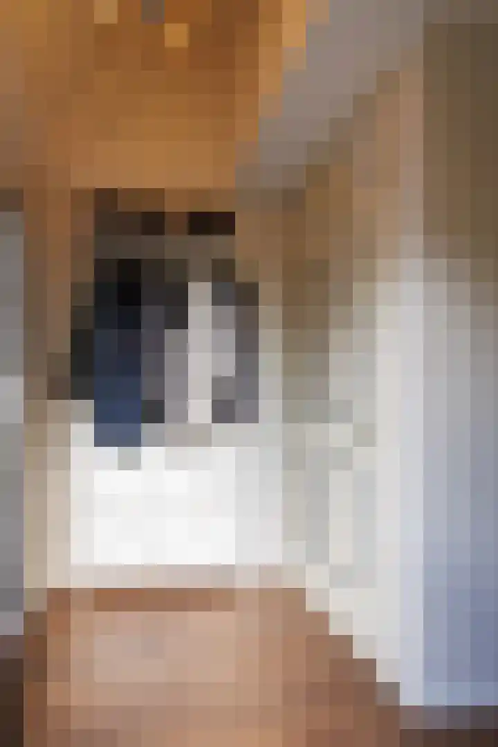 Ganzerik 47 Bennekom thumbnail 13
