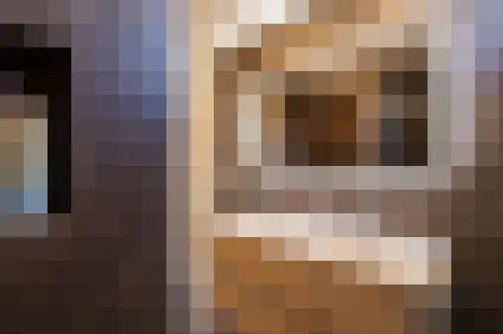 Ganzerik 47 Bennekom thumbnail 20