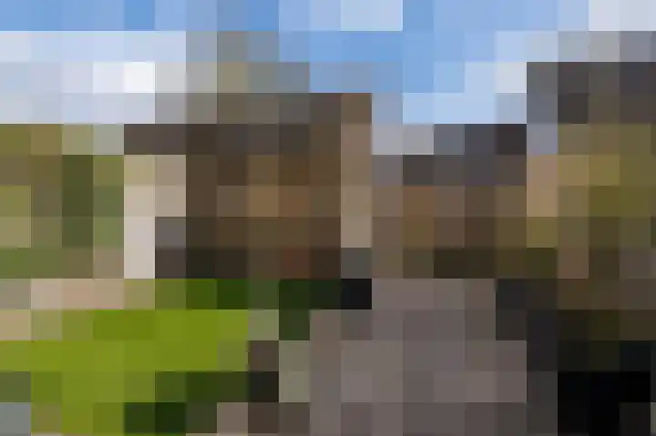 Ganzerik 47 Bennekom thumbnail 25