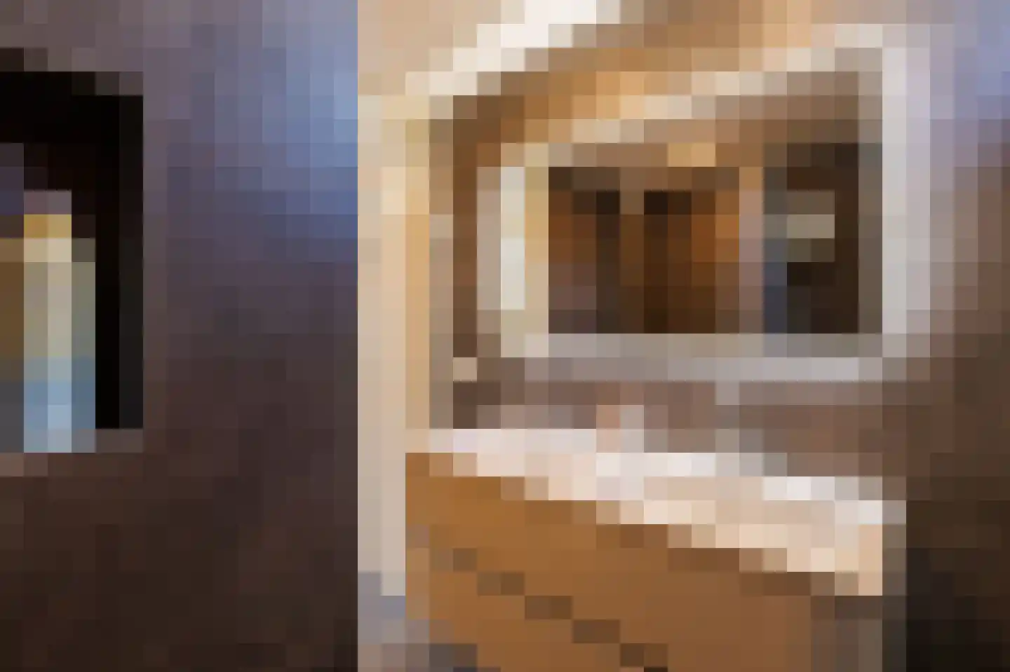 Ganzerik 47 Bennekom thumbnail 26