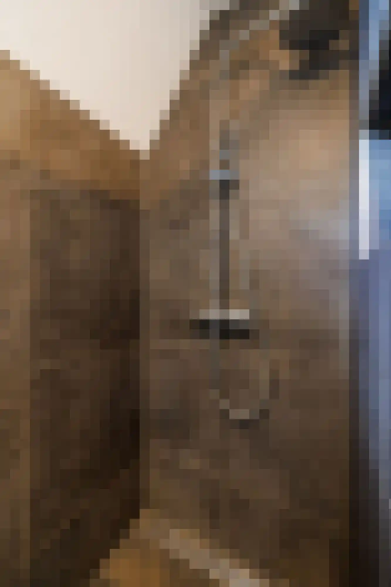 Ganzerik 47 Bennekom thumbnail 27