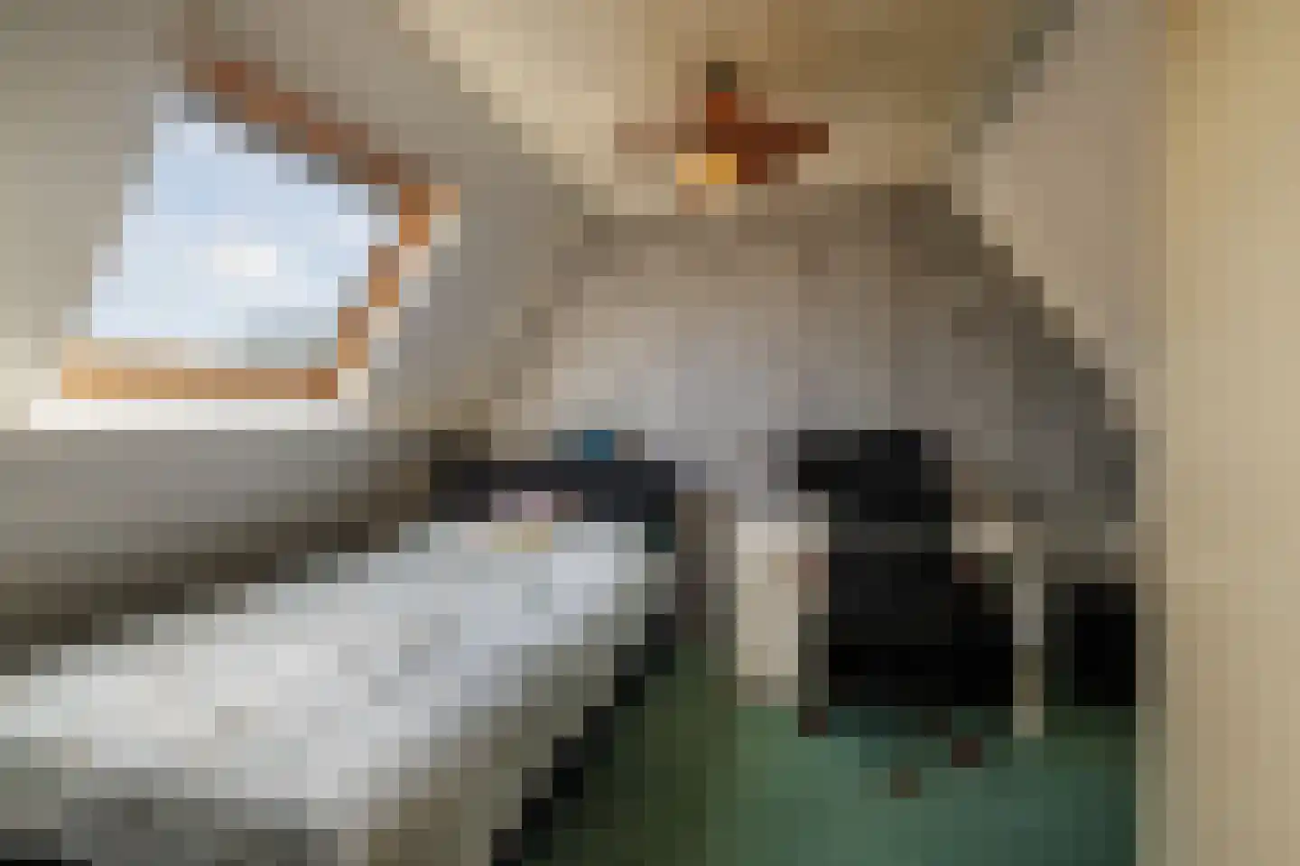 Ganzerik 47 Bennekom thumbnail 30