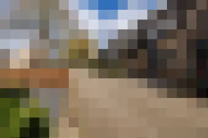 Ganzerik 47 Bennekom thumbnail 32