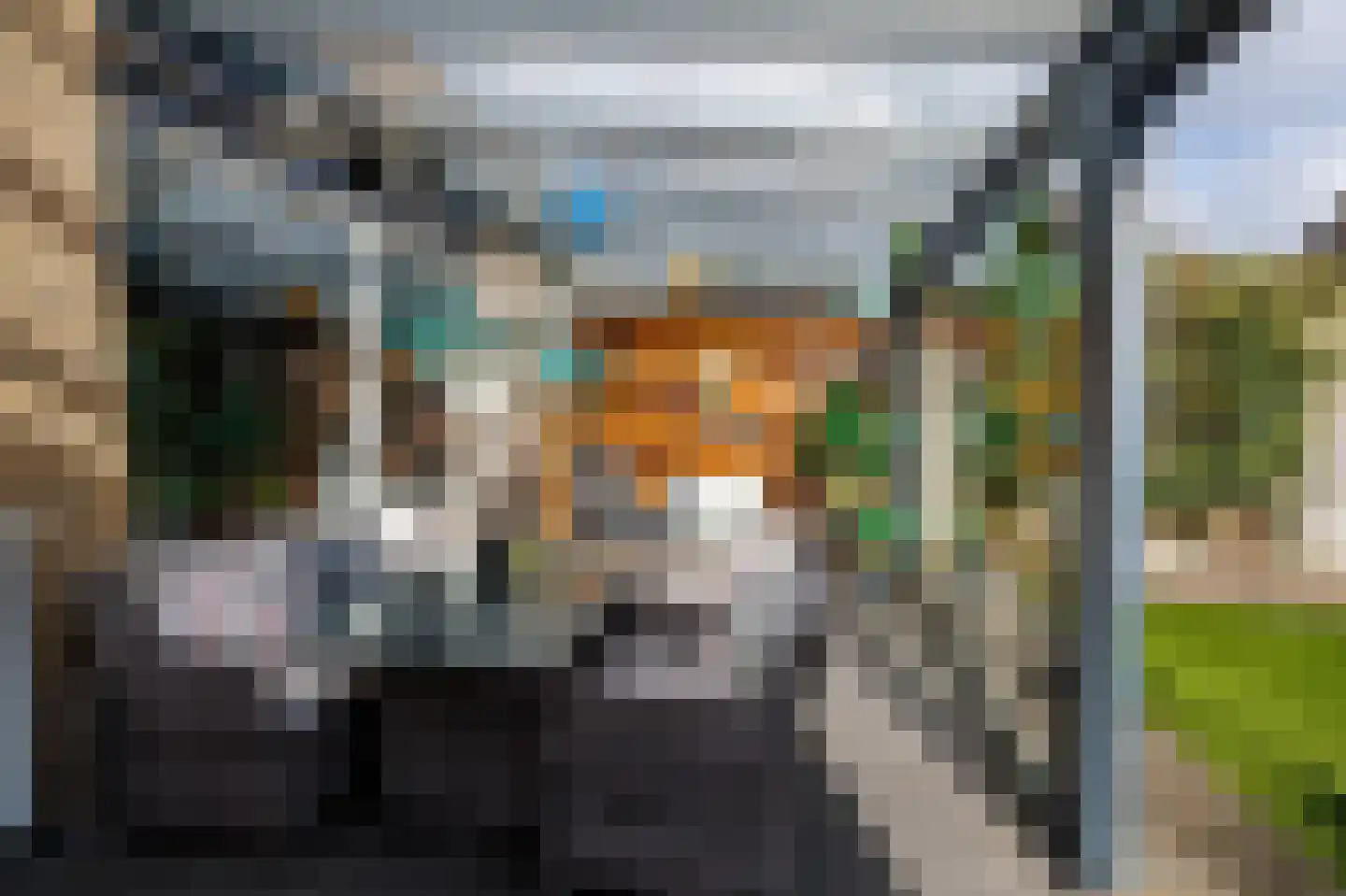 Ganzerik 47 Bennekom thumbnail 8