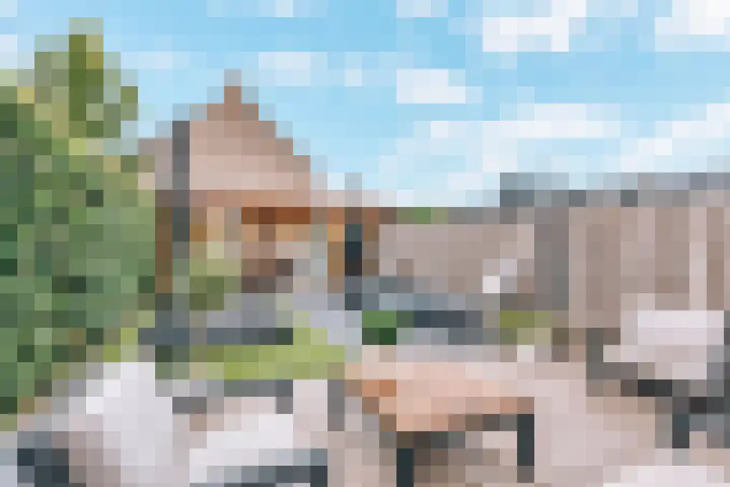 Ganzerik 49 Waddinxveen thumbnail 19