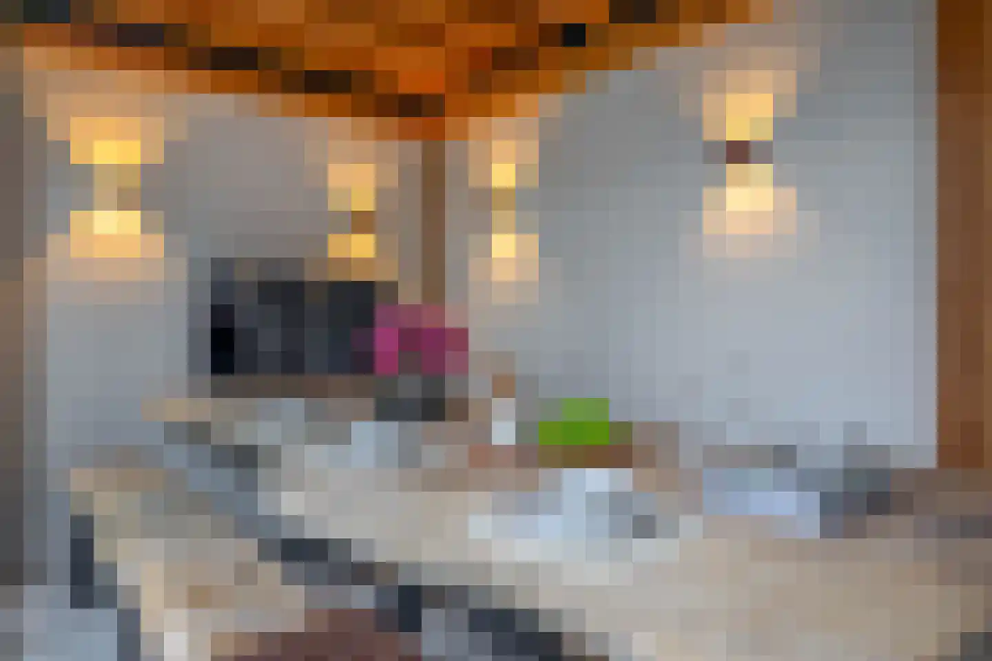 Ganzerik 49 Waddinxveen thumbnail 23