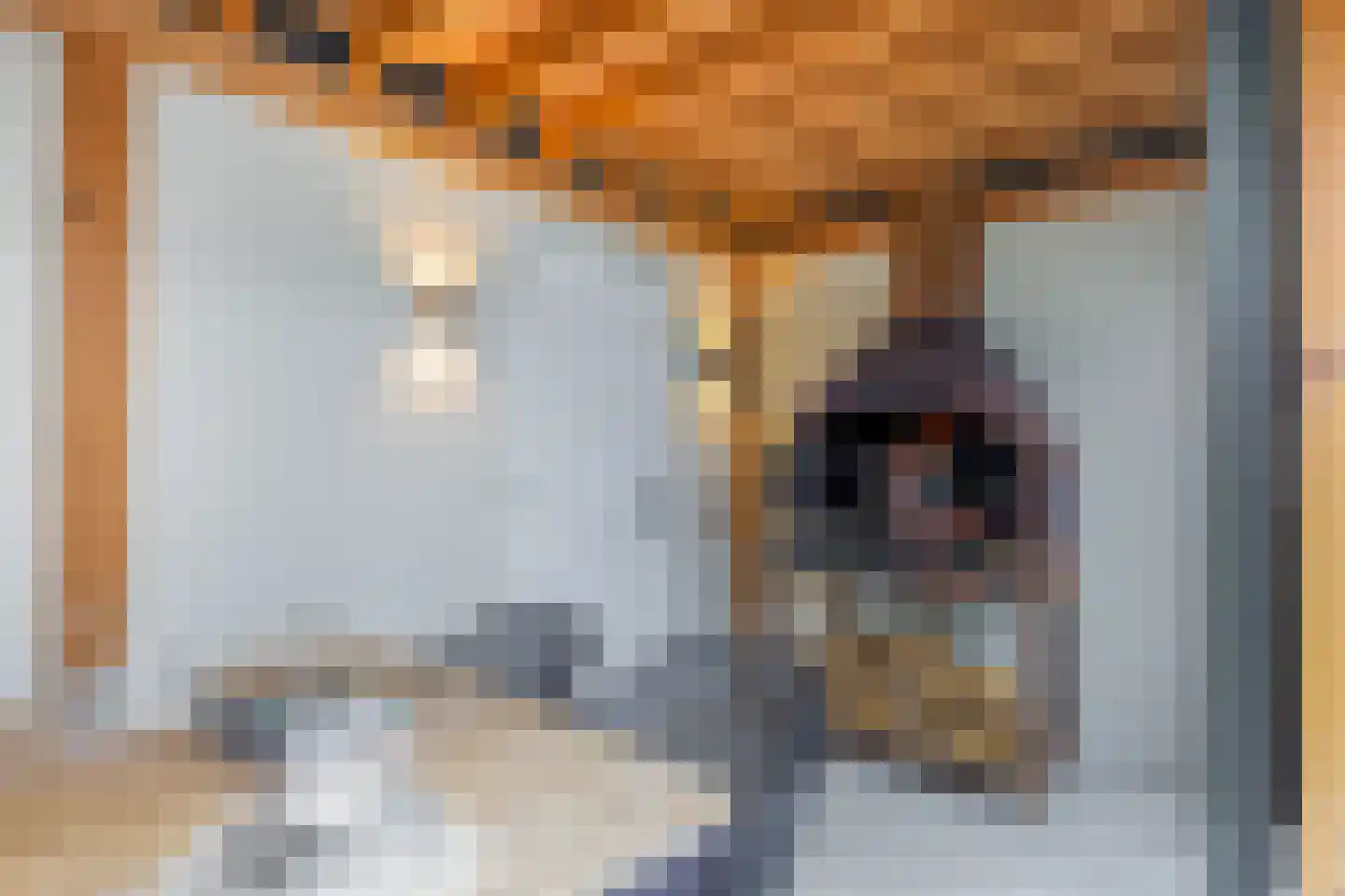 Ganzerik 49 Waddinxveen thumbnail 24