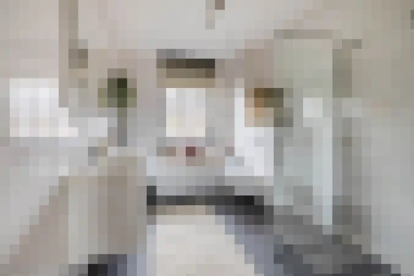 Ganzerik 49 Waddinxveen thumbnail 29