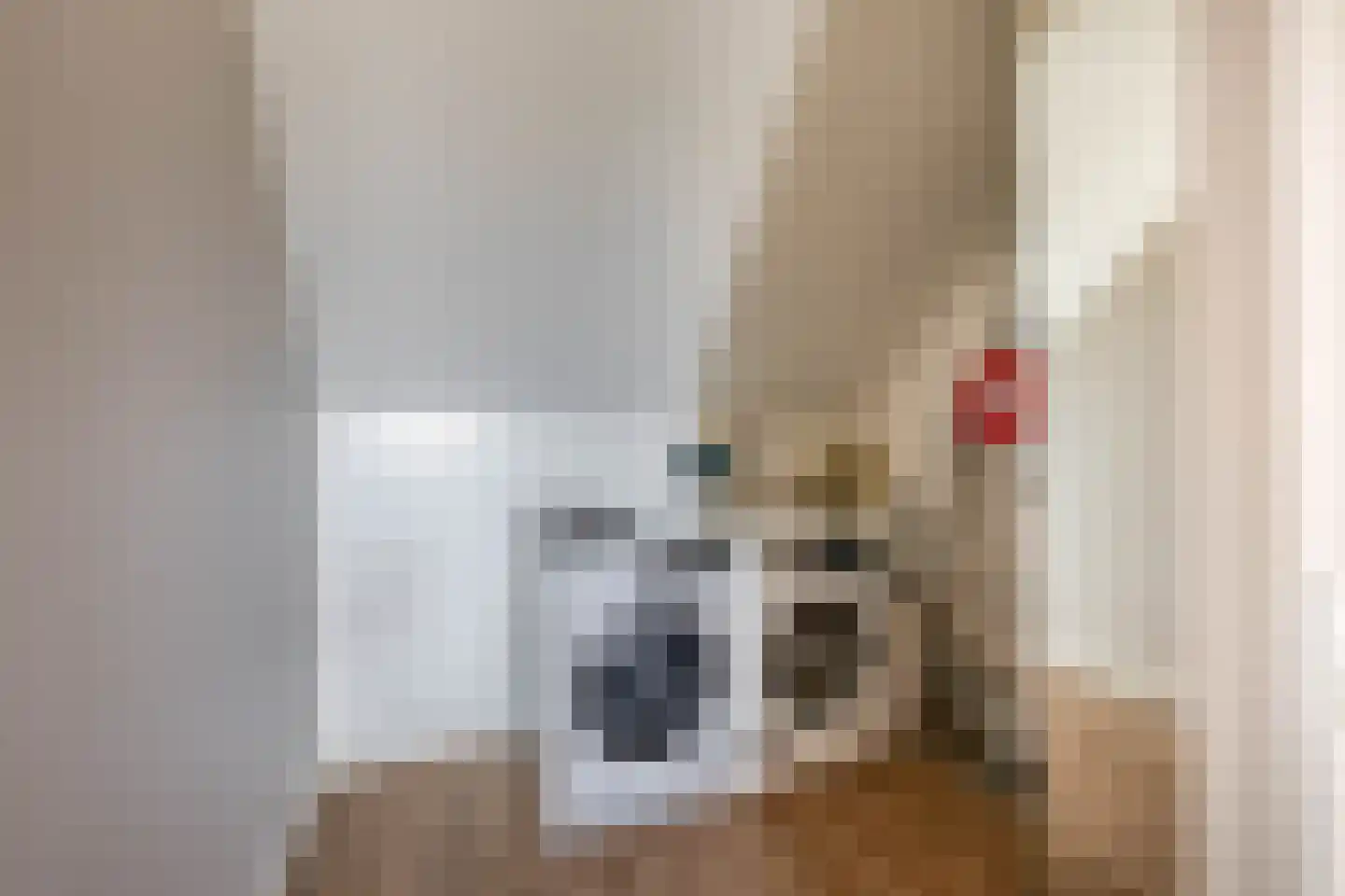 Ganzerik 49 Waddinxveen thumbnail 35